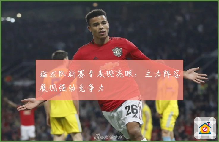 猛龙队新赛季表现亮眼，主力阵容展现强劲竞争力