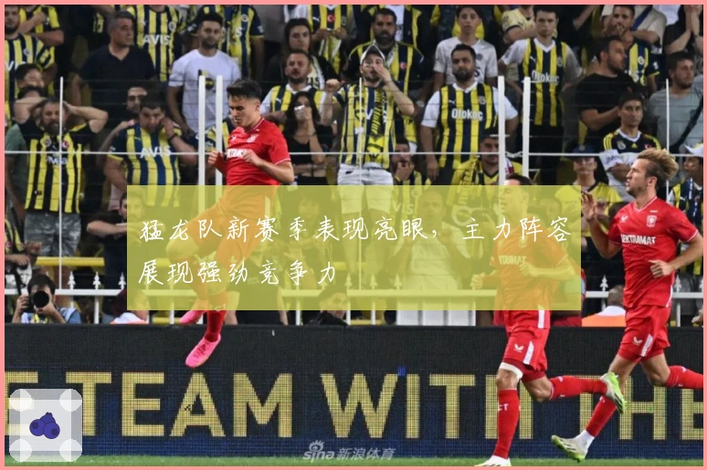 猛龙队新赛季表现亮眼，主力阵容展现强劲竞争力